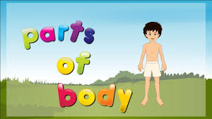 You know your head, shoulders, knees, and toes, but what are the other important body parts? Parts Of Body For Kids Parts Of The Body Body Parts Name Youtube