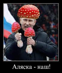 Військові США перехопили біля берегів Аляски 6 військових літаків РФ - Цензор.НЕТ 3769