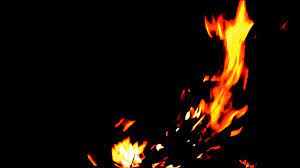 Zoom backgrounds curated selection of great virtual backgrounds for zoom. Zoom Background Video Fire