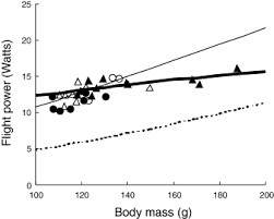We did not find results for: Flying Fasting And Feeding In Birds During Migration A Nutritional And Physiological Ecology Perspective Mcwilliams 2004 Journal Of Avian Biology Wiley Online Library