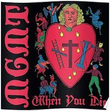 Chronic care management services mln boolet icn mln909188 uly 2019. Mgmt When You Die Poster By Fishczu In 2021 Album Cover Art Mgmt Music Album Covers