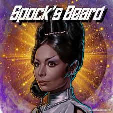 Traditional Vulcan marriage laws are misogynistic and harmful