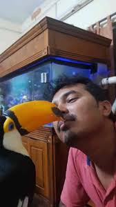 Top Veterinary Doctors For Bird in Kamarhati, Kolkata