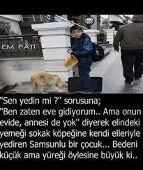 Sufficiency Adli Kullanicinin Minik Dostlarimiz Panosundaki Pin Komik Resimler Gercekler Bilgi