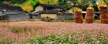 Ha Giang The Most Beautiful Place In The North