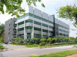 New Startup From My Friends Malaysia International Students Persuasive Essays