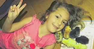 Auf zum Bundesbewerb