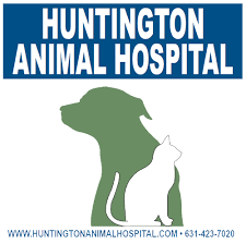 We did not find results for: Huntington Animal Hospital Veterinarian Serving The Huntington And Huntington Station Area As Well As Melville West Hills Dix Hills East Northport Greenlawn Woodbury Syosset Plainview And All Of Long Island Home