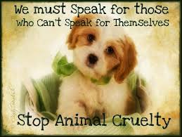 Please Stop Cruelty Animal Cruelty Quotes Stop Animal Cruelty Animal Cruelty