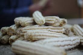So creamed corn isn't available, just regular canned corn that you drain. Grits Cornmeal Canewater Farm