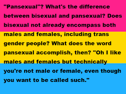 So Apparently Pansexuality Is Now Offensive According To The Tumblr Pansexual