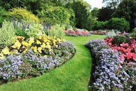 Don't forget about our selection of beautiful flowers, too! Garden Center Lake City Fl Wholesale Plants Jacksonville Fl