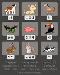 Basic Korean Animal Words Korean Language Learning Learn Korean Korean Language