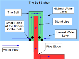 Bell Siphon Sketch Just Food Collective