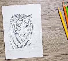 Zeichnen lernen für kinder malen mit kindern tiger malen blatt schablone druckbare bilder perspektive zeichnen geometrische figuren zeichnen einfach malvorlagen für kinder. Tier Abc T Wie Tiger Tiger Zeichnen Und Malen Lernen