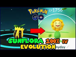 Sunkern Max Cp For All Levels Pokemon Go