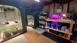 The grow room needs to meet a number of requirements to enable us to create a perfect climate. Thought I D Share Our Micro Grow Basement Microgrowery