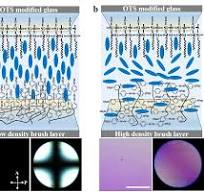 Engineering the Anchoring Behavior of Nematic Liquid ...