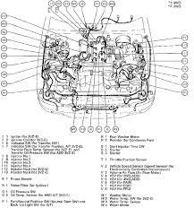 Mainly it has the forward control and it is both a crossover and hatchback. 1992 Toyota 3400 Engine Vacuum Hose Diagram Total Wiring Diagrams Stage
