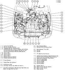 Shop toyota usa's dealer network for genuine 2002 toyota sequoia parts & accessories. 2002 Tundra Wiring Diagram Furthermore 1997 Toyota Ta A Wiring Diagram Calm Compact Calm Compact Pennyapp It