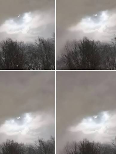 😱 My brother took this photo just 21km from our house! 😨 He posted it on  Facebook, but almost no one noticed the most shocking detail! 😱 Look  closely, the...