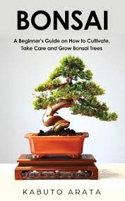 People are often intimidated by growing a bonsai tree; Bonsai A Beginner S Guide On How To Cultivate Take Care And Grow Bonsai Trees Amazon De Arata Kabuto Fremdsprachige Bucher