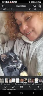 SOS !!!Solo¡¡¡¡¡ gatitos maipu