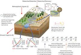 As this biogeochemical cycles webquest answer key, it ends happening inborn one of the favored books biogeochemical. Name Your Favorite Biogeochemical Cycle