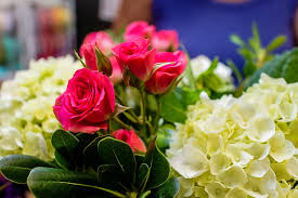 I was born and raised in jersey city, and lived most of my life in the heights. The 5 Best Flower Shops In Jersey City