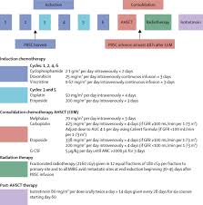 Atrx mutations occur in 17% of children 18 months to 12 years with stage 4 disease, and in 44% of patients >12. Purged Versus Non Purged Peripheral Blood Stem Cell Transplantation For High Risk Neuroblastoma Cog A3973 A Randomised Phase 3 Trial The Lancet Oncology