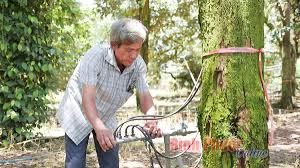 Cần một sự thay đổi - Bài 3