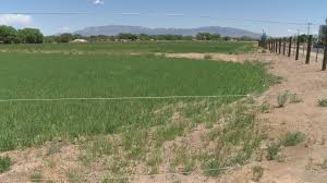 Bernalillo Co. plans to add to South Valley open space property