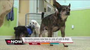 3558 webber st, sarasota, fl 34239. Quotes About Pet Store 35 Quotes