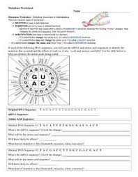 B) there are two types of mutation possible during. Mutations Worksheet Biology Lessons Biology Worksheet Teaching Biology