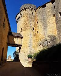 Chateau De Fenelon Dordogne Dordogne Chateau Perigord