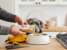 All dog foods must name everything that's in them in descending order by weight, but ingredient lists do not tell you anything about quality. Best Dog Food In 2021