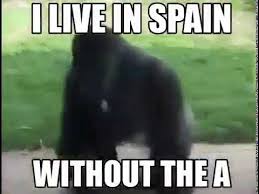 See, rate and share the best spain memes, gifs and funny pics. I Live In Spain Without The S Youtube