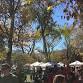 Old Colorado City Farmers Market