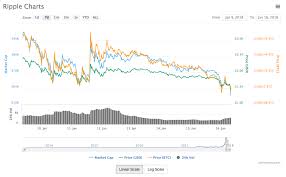 We are india's first & most widely used cryptocurrency trading or exchange platform. Bitcoin Price Chart Live India Pflag