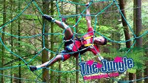 Monkeying Around On The Jungle Tree Top Adventure Course Jungle Tree Top Adventures Tree Tops