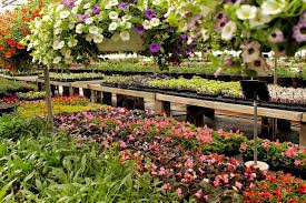 Fair oaks nursery & garden ctr: Felly S Flowers And Garden Center 6353 Nesbitt Rd Madison Wi 53719 Usa