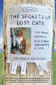 Cat tiger reflection canvas funny poster motivational art print modern decor. The Secrets Of Lost Cats By Nancy Davidson Info Cafe
