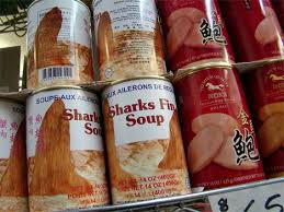 Image result for shark fin soup