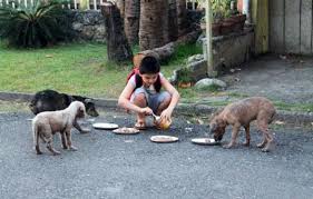 9 Yr Old Boy From The Philippines Started Feeding These Stray Dogs From The Kindness Of His Heart His Dad Took Some Photos Of Happy Animals Faith In Humanity