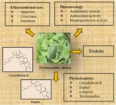 Image result for Melastomastrum capitatum