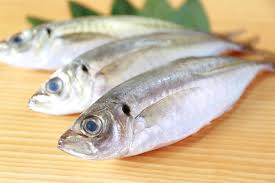 旬 の魚 アジ