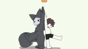 Changed puro and human