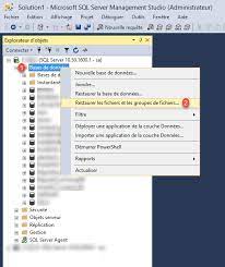 sql server restore a database from a backup bak rdr it