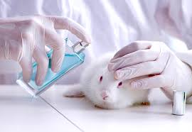 But another law regulating chemicals was introduced in 2007, . Animal Protection Laws Spreading Around The World Estetica Export