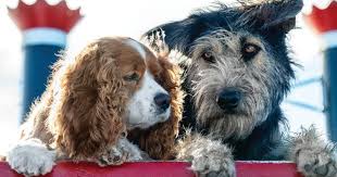 We did not find results for: Rescue Dog To Become Disney Star In New Lady And The Tramp Live Action Remake